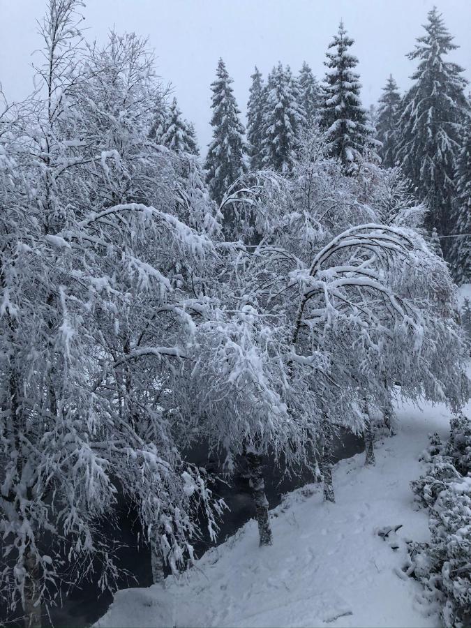 Le Du Narouel Gerardmer